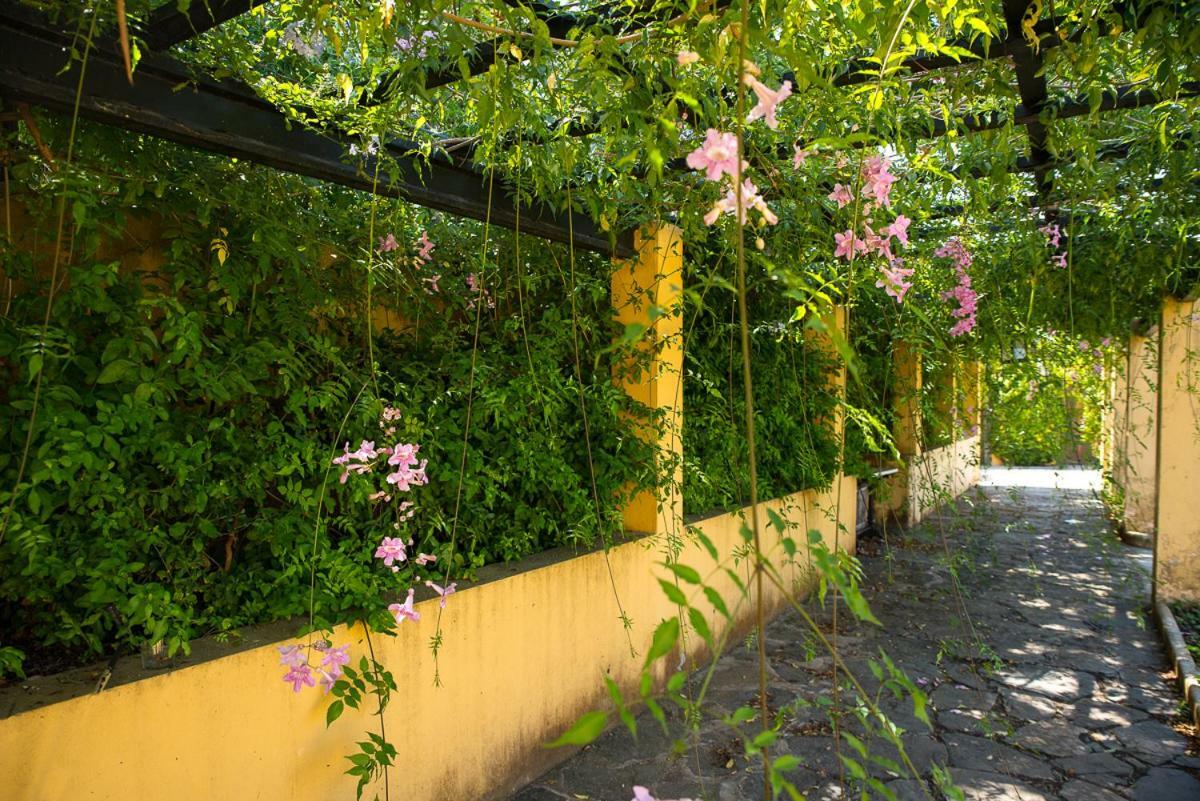 Bellasombra Suites Las Palmas de Gran Canaria Dış mekan fotoğraf